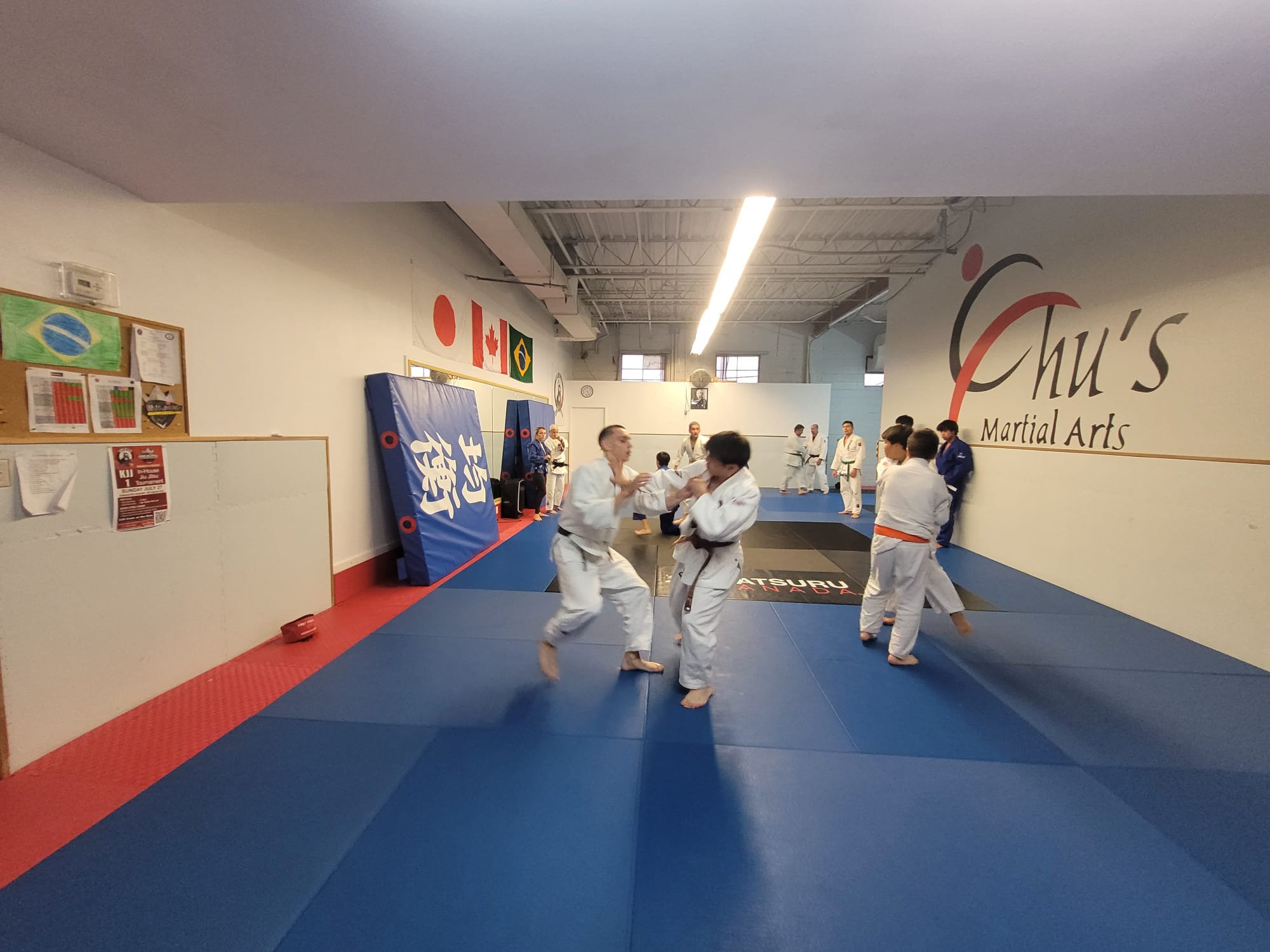 Thornhill dojo mats